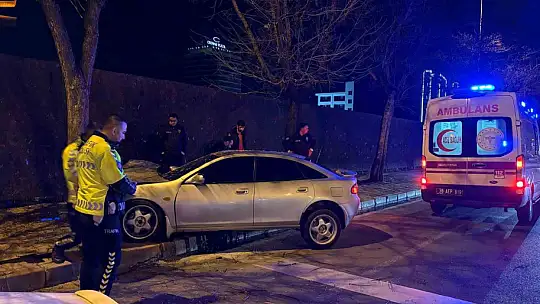 Kaldırıma çıkan otomobil ağaca çarptı: 2 yaralı