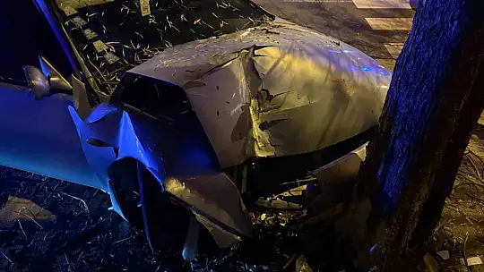 Kaldırıma çıkan otomobil ağaca çarptı: 2 yaralı