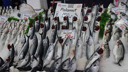 Kar balığa yaradı