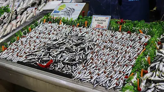 Kar balığa yaradı