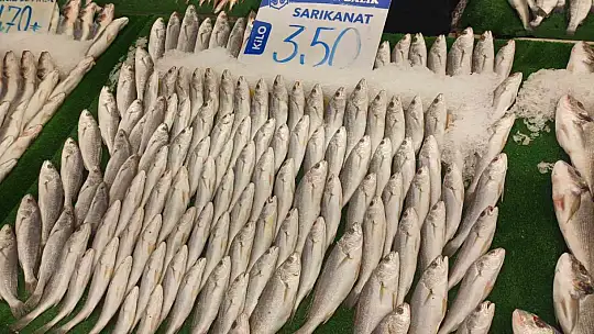 Kar yağdı, balık tezgâhları şenlendi