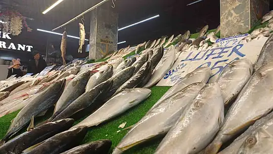 Kar yağdı, balık tezgâhları şenlendi