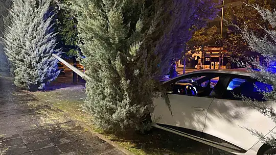 Karşı yola geçen otomobil elektrik direğine çarparak durabildi