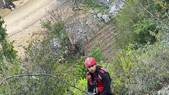 Kayalıklarda mahsur kalan 4 keçi 4 saatte kurtarıldı