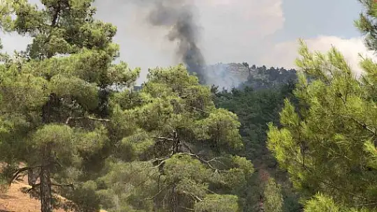 Kayseri Büyükşehir Belediyesi'nden Kahramanmaraş'taki orman yangınına destek