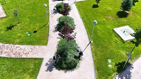 Kayseri Büyükşehir'de lavanta hasadı başladı