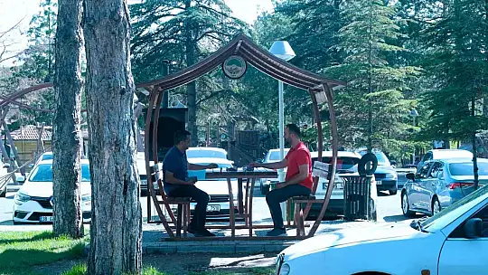 Kayseri Büyükşehir'den anlamlı sosyal deney: Çevreye duyarlı vatandaşlara gül jesti