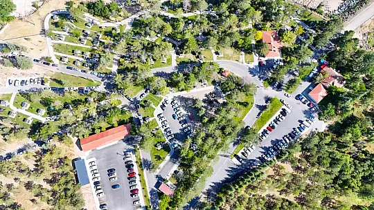 Kayseri Büyükşehir'den anlamlı sosyal deney: Çevreye duyarlı vatandaşlara gül jesti