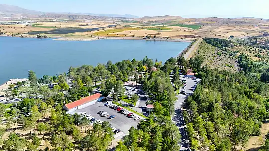 Kayseri Büyükşehir'den anlamlı sosyal deney: Çevreye duyarlı vatandaşlara gül jesti