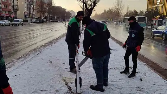 Kayseri Büyükşehir'den kış çalışmalarında ağaç güvenliği seferberliği