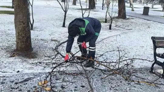 Kayseri Büyükşehir'den kış çalışmalarında ağaç güvenliği seferberliği