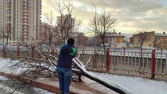 Kayseri Büyükşehir'den kış çalışmalarında ağaç güvenliği seferberliği
