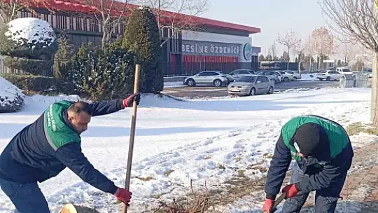 Kayseri Büyükşehir'den kış çalışmalarında ağaç güvenliği seferberliği