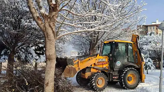 Kayseri Büyükşehir'den kış çalışmalarında ağaç güvenliği seferberliği