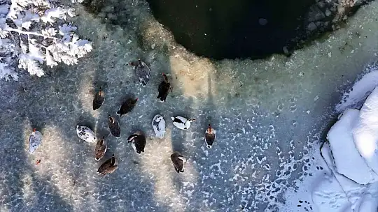 Kayseri buz tuttu: Termometreler eksi 14'ü gösterdi