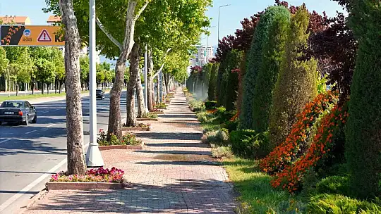 Kayseri çiçek bahçesine dönüşüyor