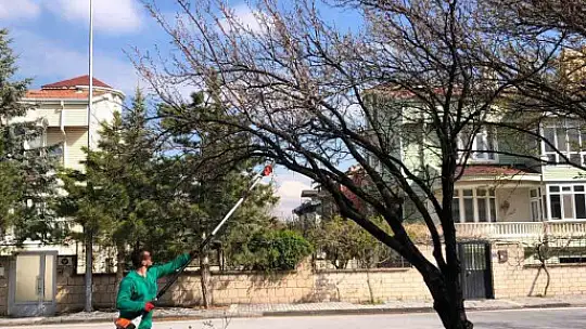 Kayseri, daha yeşil ve temiz hale geliyor