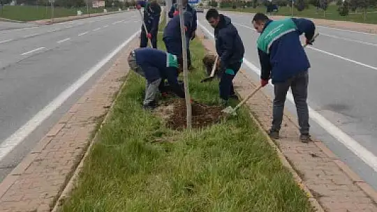 Kayseri, daha yeşil ve temiz hale geliyor