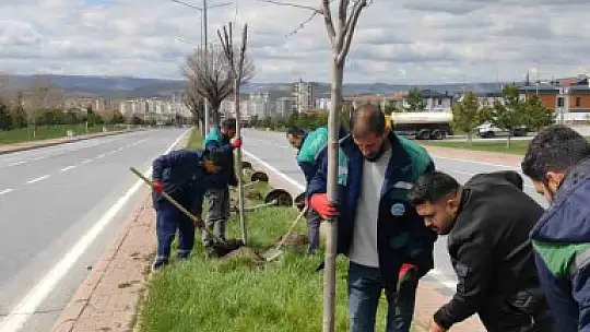 Kayseri, daha yeşil ve temiz hale geliyor