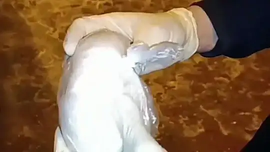 Kayseri'de 'torbacı' operasyonu: 1 gözaltı