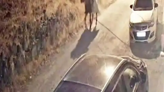 Kayseri'de 2025 yılında işlenen cinayetlerin tamamını aydınlatıldı