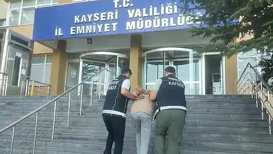 Kayseri'de 287 kök kenevir ele geçirildi: 1 gözaltı