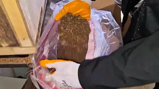 Kayseri'de 49 bin 200 adet kaçak makaron ele geçirildi: 1 gözaltı