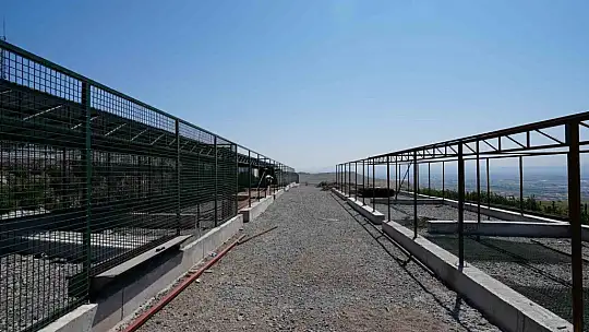Kayseri'de 500 hayvan kapasiteli yeni bir barınak inşa ediliyor