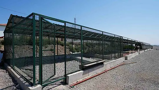 Kayseri'de 500 hayvan kapasiteli yeni bir barınak inşa ediliyor