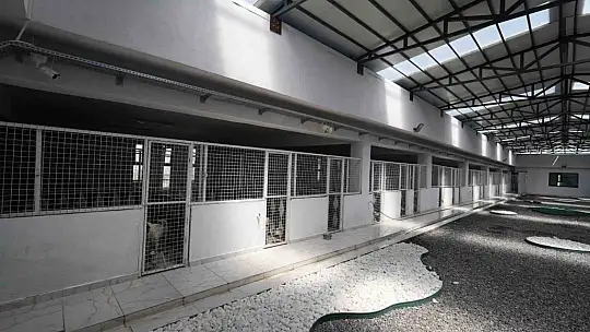 Kayseri'de 500 hayvan kapasiteli yeni bir barınak inşa ediliyor