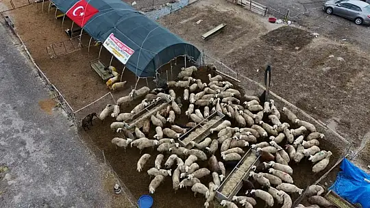 Kayseri'de 53 bin 284 adet kurban kesildi