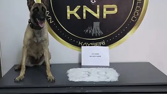 Kayseri'de 79 yaşındaki 'torbacı' yakalandı