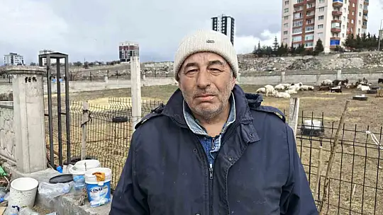 Kayseri'de ahıra hayvan saldırdı: 6 keçi telef 5 keçi kayıp