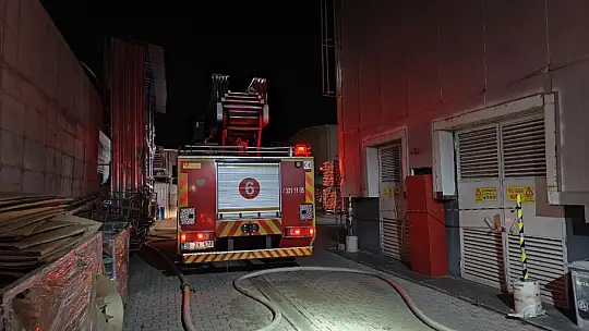Kayseri'de ahşap fabrikasında korkutan yangın