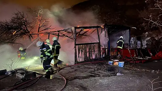 Kayseri'de bağ evi alev alev yandı