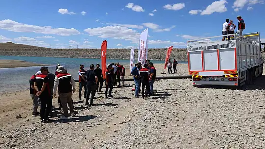 Kayseri'de baraj gölüne 600 bin yavru sazan bırakıldı