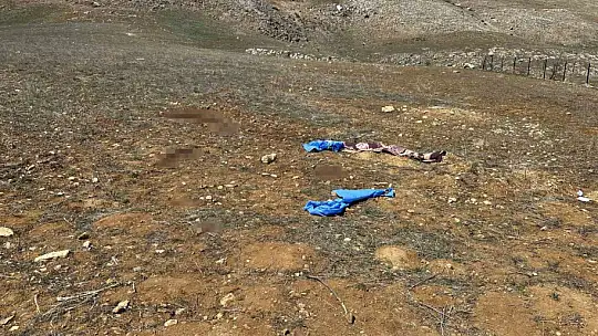 Kayseri'de başıboş köpeklerin saldırdığı yaşlı adam hayatını kaybetti
