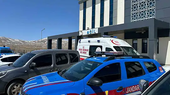 Kayseri'de başıboş köpeklerin saldırdığı yaşlı adam hayatını kaybetti