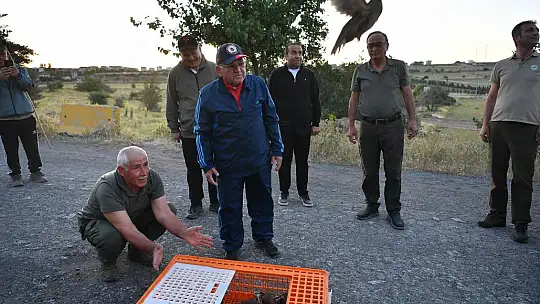 Kayseri'de doğaya keklik salımı yapıldı