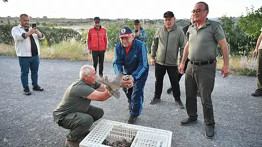 Kayseri'de doğaya keklik salımı yapıldı