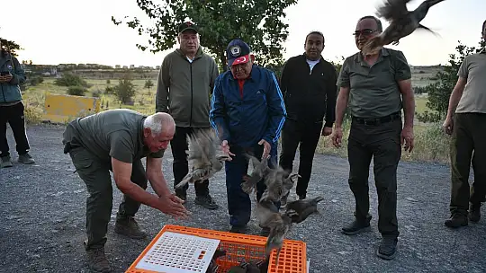 Kayseri'de doğaya keklik salımı yapıldı