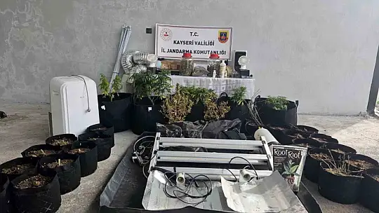 Kayseri'de evinde uyuşturucu yetiştiren şüpheli gözaltına alındı