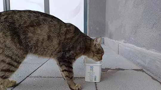 Kayseri'de hava sıcaklığı 40'ı aştı, vatandaş serinlemenin yollarını aradı