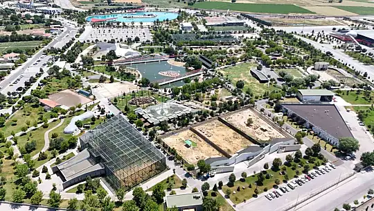 Kayseri'de hayvanlara yaz menüsü: Buz kokteyli