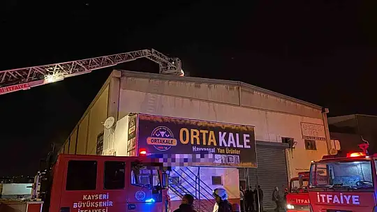 Kayseri'de hayvansal yan ürünler tesisinde yangın