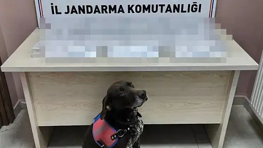 Kayseri'de jandarma ekipleri 2025 yılında 7 bin 900 aranan şahsı yakaladı