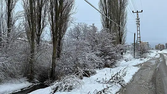 Kayseri'de kar yağışı etkili oldu