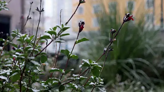 Kayseri'de kar yağışı etkili oldu