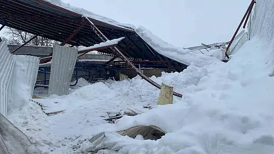 Kayseri'de karın ağırlığına dayanamayan ahırın çatısı çöktü: 17 hayvan telef oldu