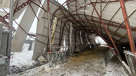 Kayseri'de karın ağırlığına dayanamayan ahırın çatısı çöktü: 17 hayvan telef oldu